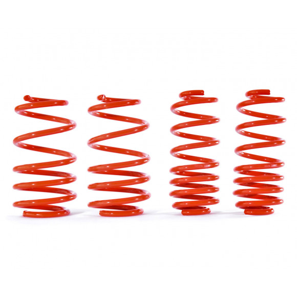 Triple-S verlagingsveren Seat Ibiza (6L) - 50 mm